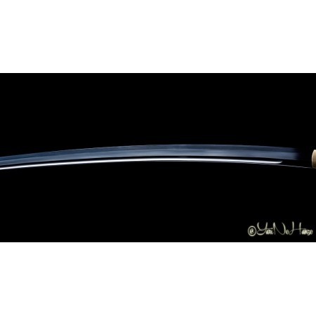 Dotanuki | Handmade Iaito Sword for sale | 