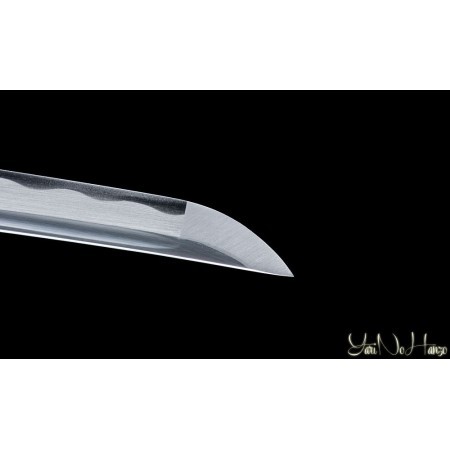 Niiro | Handmade Iaito Sword for sale | Buy the best samurai swords and japanese swords  |