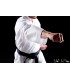 Karate Gi Shuto Beginner | Light white Karategi 