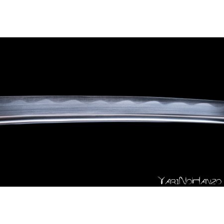 Asakura Wakizashi Basic | Handmade Wakizashi Sword