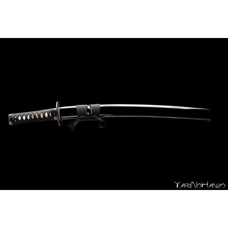 Asakura Wakizashi Basic | Handmade Iaito Wakizashi