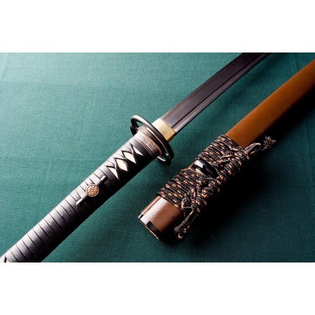 MUSASHI KUMAMOTO