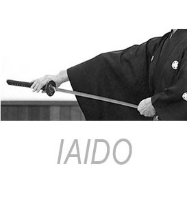 Iaido