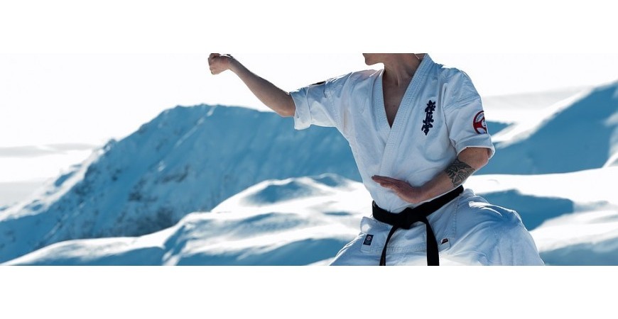 What is Kyokushinkai Karate