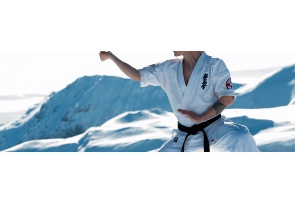 What is Kyokushinkai Karate