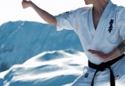 What is Kyokushinkai Karate